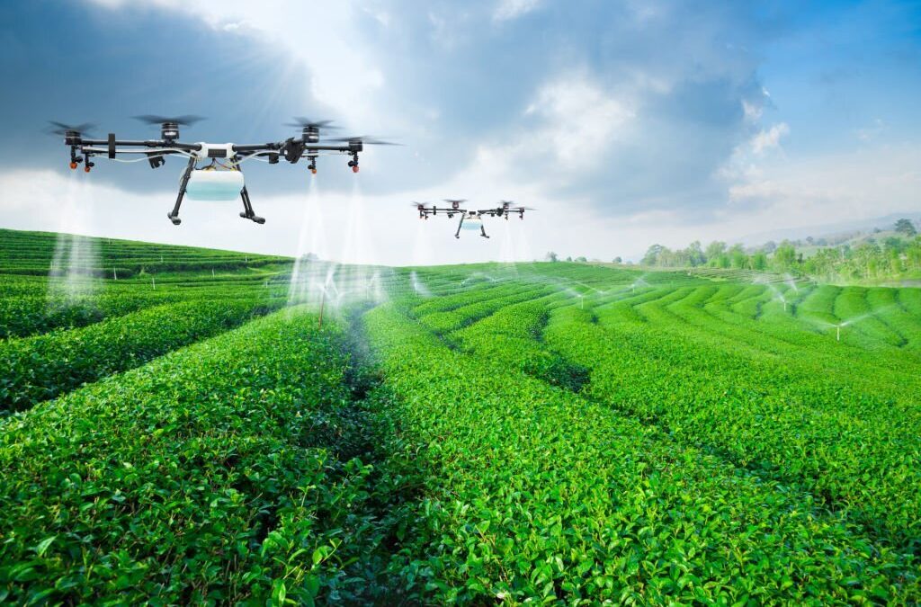 تكنولوجيا 01: تعرف على أهمية الدرون في الزراعة .